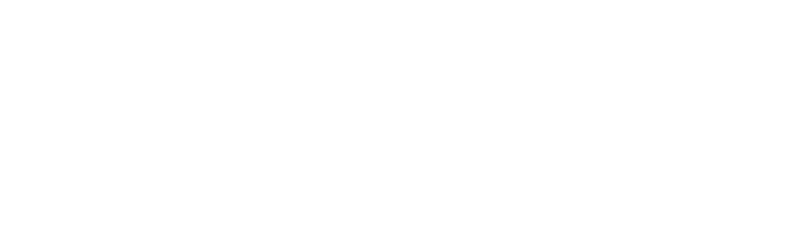Vida Tersus Solution